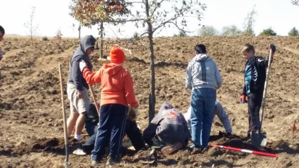 Example of Habitat Outreach - Savanna Grassland Tree Planting Project (Squaw Creek Park, Marion, Iowa)